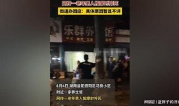 松柏道馆爆料视频大全,揭秘武术秘籍与传奇故事