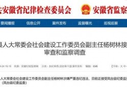 大皖新闻爆料地址在哪里,揭秘事件背后神秘地址