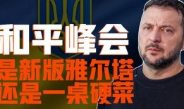 乌克兰内部爆料新闻视频,揭秘真相与内幕