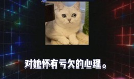 娱乐圈八卦吃瓜视频,吃瓜视频背后的惊人真相