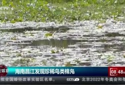 海南昌江爆料最新消息今天,最新爆料揭示惊人真相