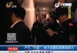 潍坊爆料视频,真实事件引发网友热议