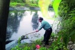 珠海平沙最新爆料,揭秘神秘项目背后的故事
