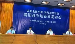 宾阳最新新闻爆料,宾阳突发！最新事件引发广泛关注