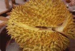 榴莲千层视频爆料,揭秘网红美食背后的制作奥秘