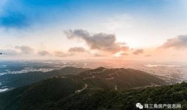 菏泽最新出轨爆料电话,情感纠葛再掀波澜