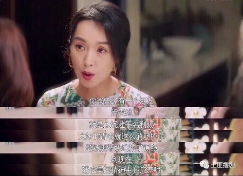 娱乐吃瓜演员名单大全,揭秘明星幕后故事与八卦风云