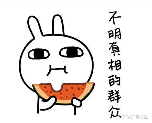 娱乐吃瓜合成一个词怎么说,一词合成，揭秘娱乐圈幕后故事